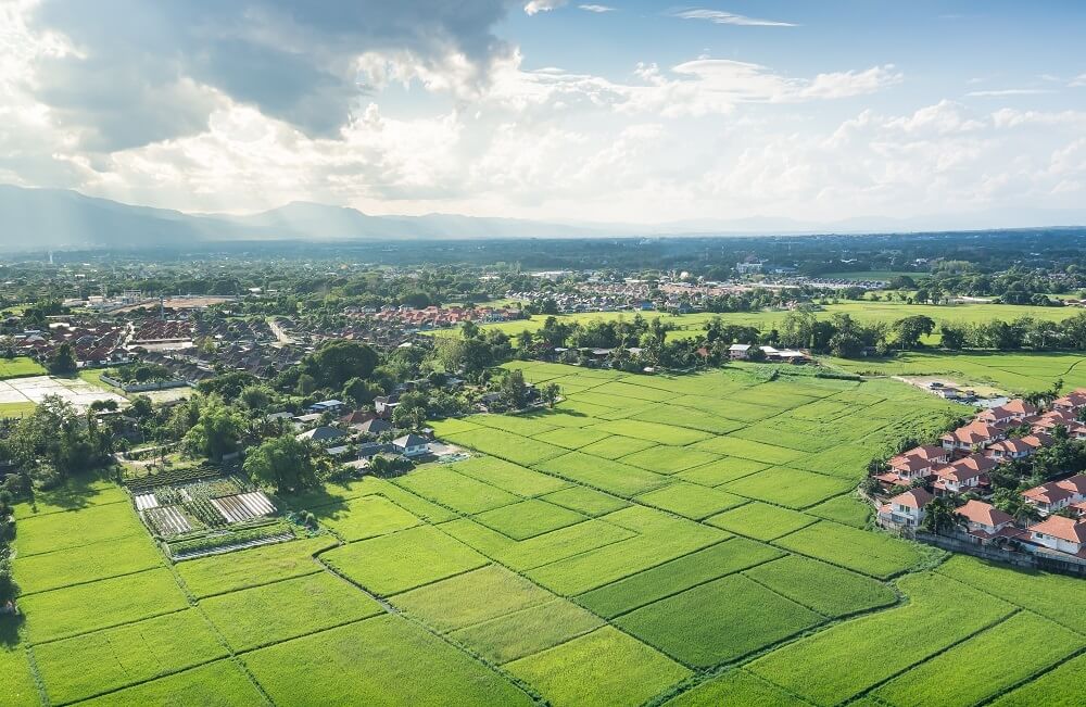 More land for less money: land plot investments in St. Petersburg and surrounding areas plummet 40% y-o-y